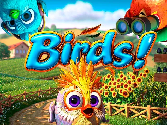 birds