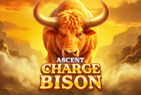 chargebisonascent