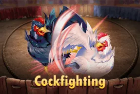cockfighting