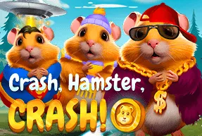 crashhamstercrash
