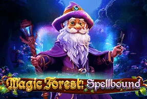 magicforestspellbound