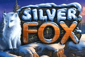 silverfox