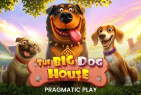thebigdoghouse