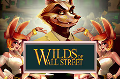 wildsofwallstreet